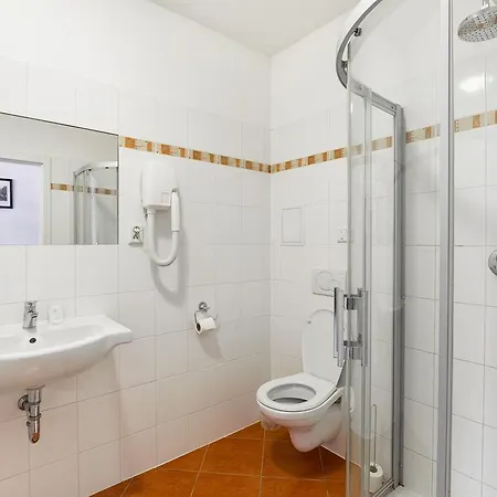 Guest house Hotel U Salzmannu