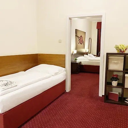 بيت ضيافة U Salzmannu 4*