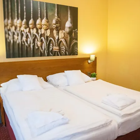 Guest house Hotel U Salzmannu 3*