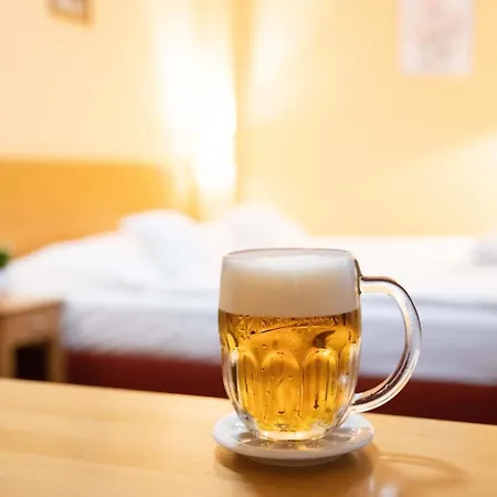 U Salzmannu Konukevi Plzeň