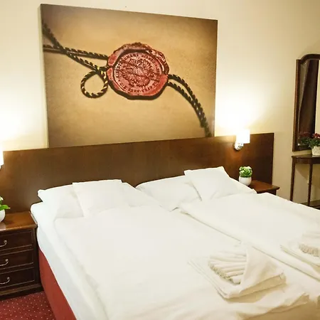 Hotel U Salzmannu Guest house Plzen