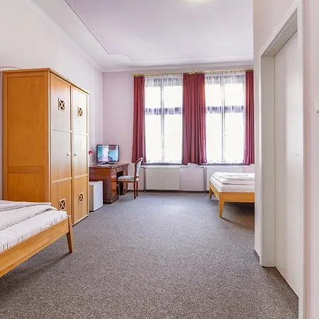 Pensión U Salzmannu Plzeň