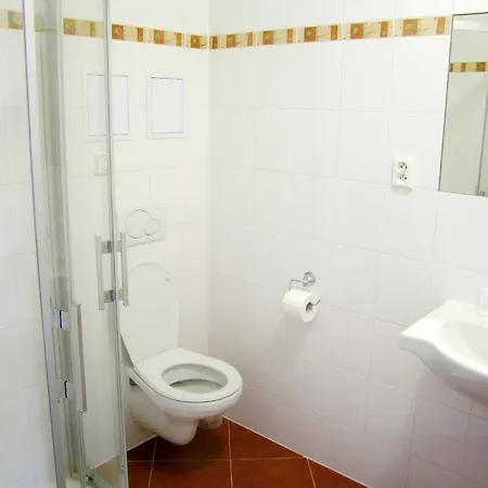 U Salzmannu 4* Plzeň