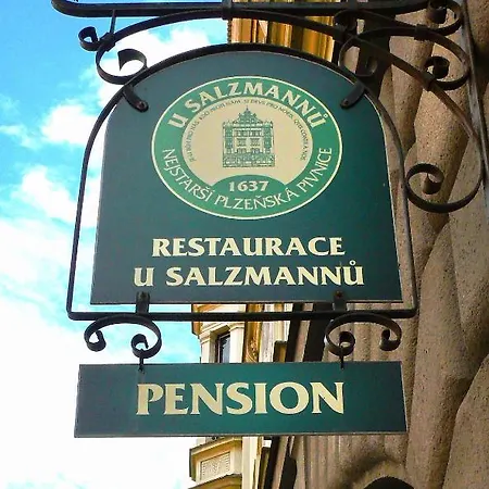 Pensión U Salzmannu 4*