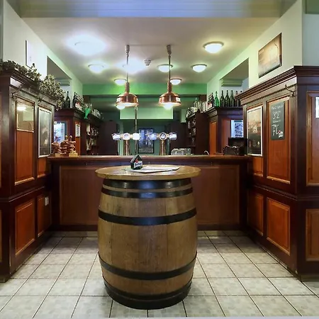 U Salzmannu 4* Plzeň