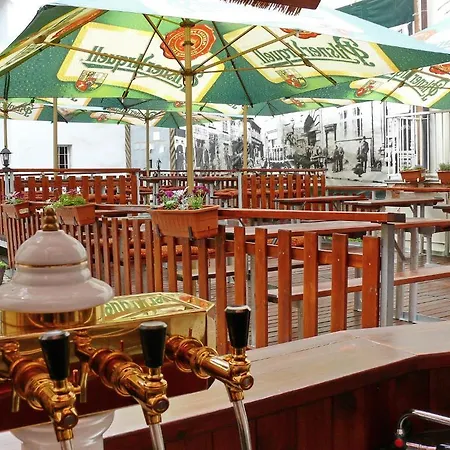 U Salzmannu ゲストハウス プルゼニ