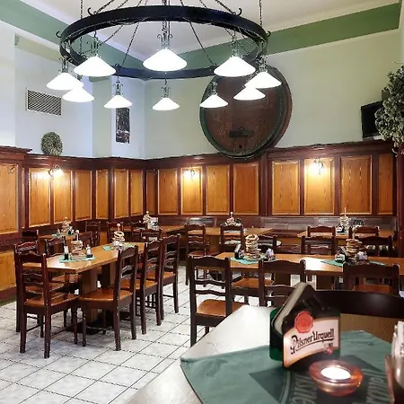 U Salzmannu プルゼニ