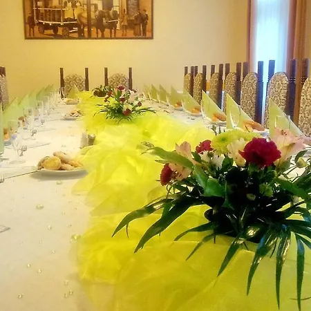 Guest house Hotel U Salzmannu 3*