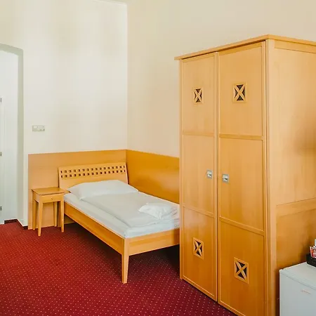 U Salzmannu 3* Plzeň