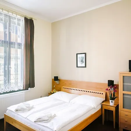 U Salzmannu 3* Plzeň