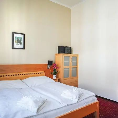 U Salzmannu 3*