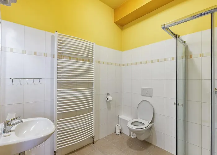 Gæstehus U Salzmannu Plzeň