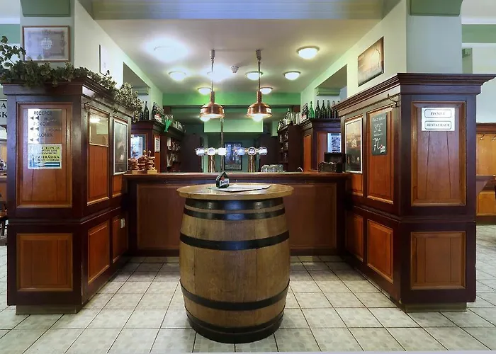 U Salzmannu 4* Plzeň