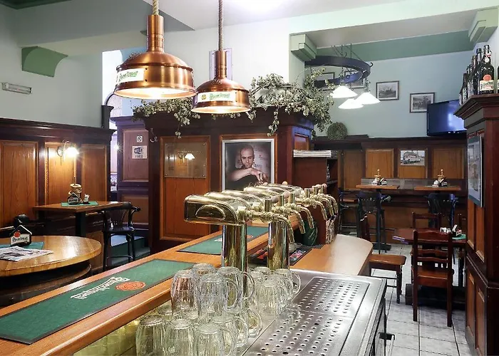 U Salzmannu プルゼニ