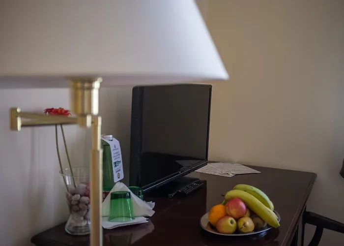 Gæstehus U Salzmannu 4*