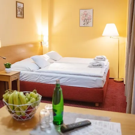 U Salzmannu Affittacamere