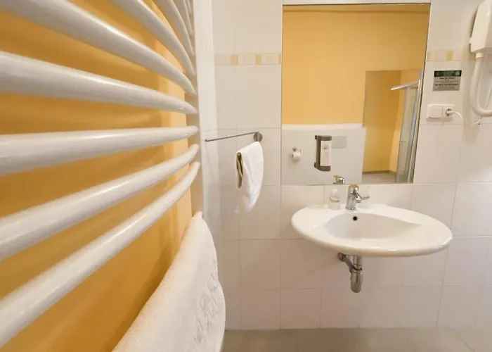 U Salzmannu Affittacamere