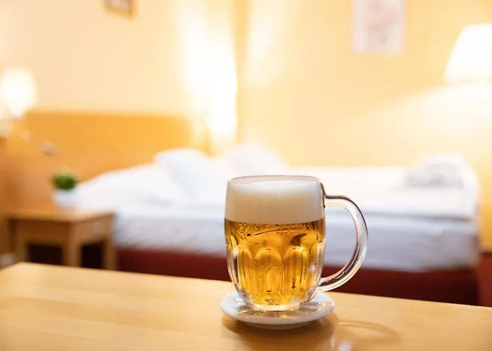 U Salzmannu Affittacamere Plzeň