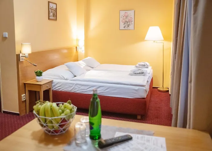 U Salzmannu Affittacamere