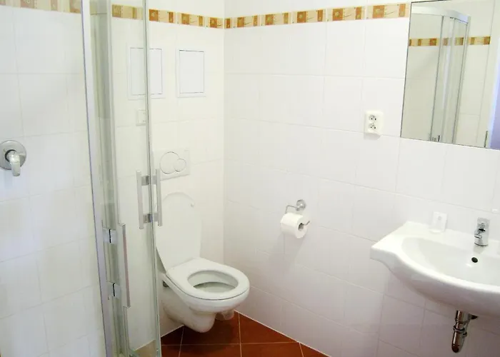 U Salzmannu 4* Plzeň