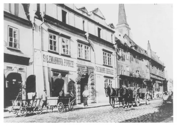 Affittacamere U Salzmannu