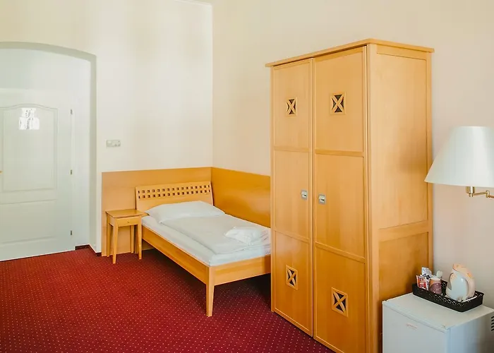 U Salzmannu 4* Plzeň